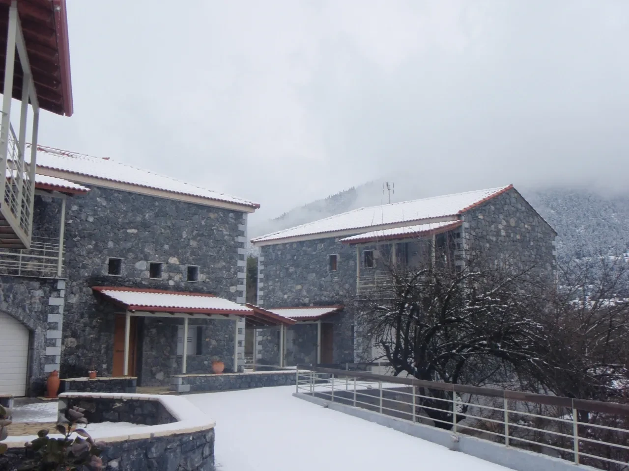 <img src=